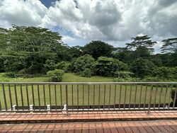 Springside Avenue (D26), Terrace #554421941
